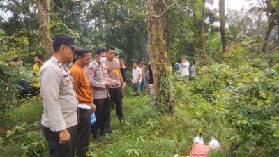 Penemuan Mayat Perempuan Tanpa Identitas Gegerkan Desa Tebing Sari Mulya OKU Timur