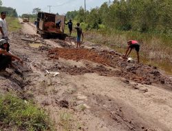 Jalan Jalur Babak Belur, Pemkab Banyuasin Janji Segera Timbun