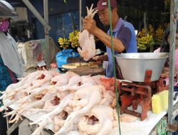 Jelang Idul Adha, Harga Daging Ayam di Martapura Meroket