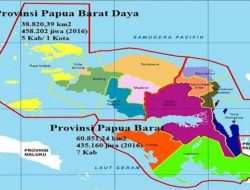 UU Papua Barat Daya Sah! Indonesia Sekarang Punya 38 Provinsi, Ini Daftarnya