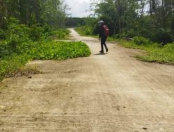 Proyek Jalan Bermasalah dan Terbengkalai, Penuh Semak Hingga Jadi Lokasi Wik-wik