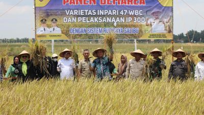 Lakukan Panen Raya, Bupati Sebut Kabupaten OKU Timur Pringkat 10 Besar Nasional